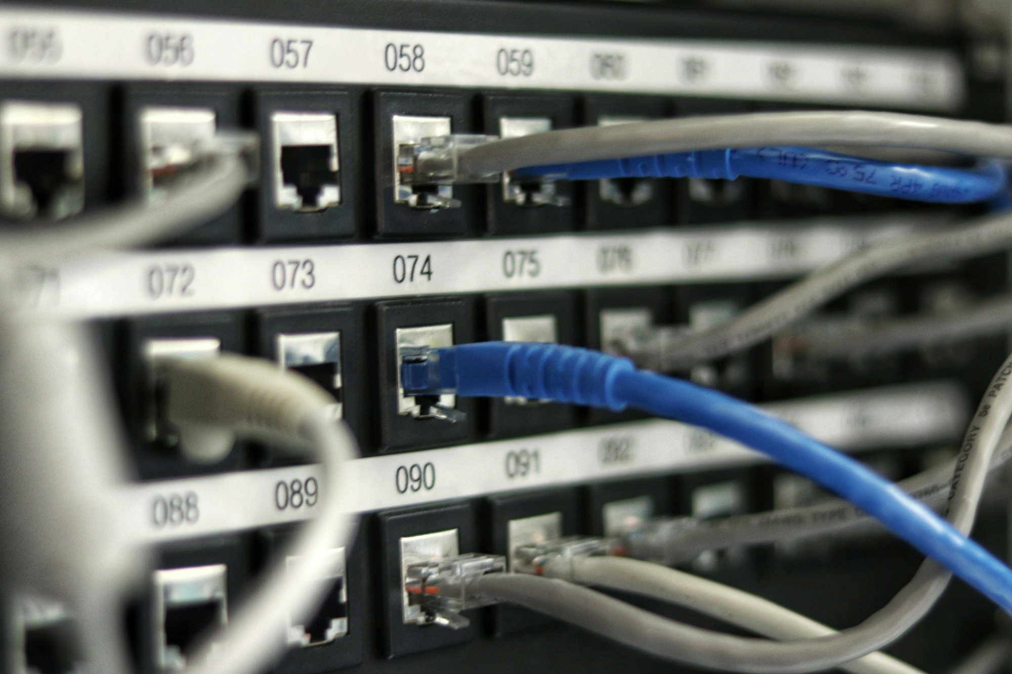 blue-utp-cord.jpg blue UTP cord