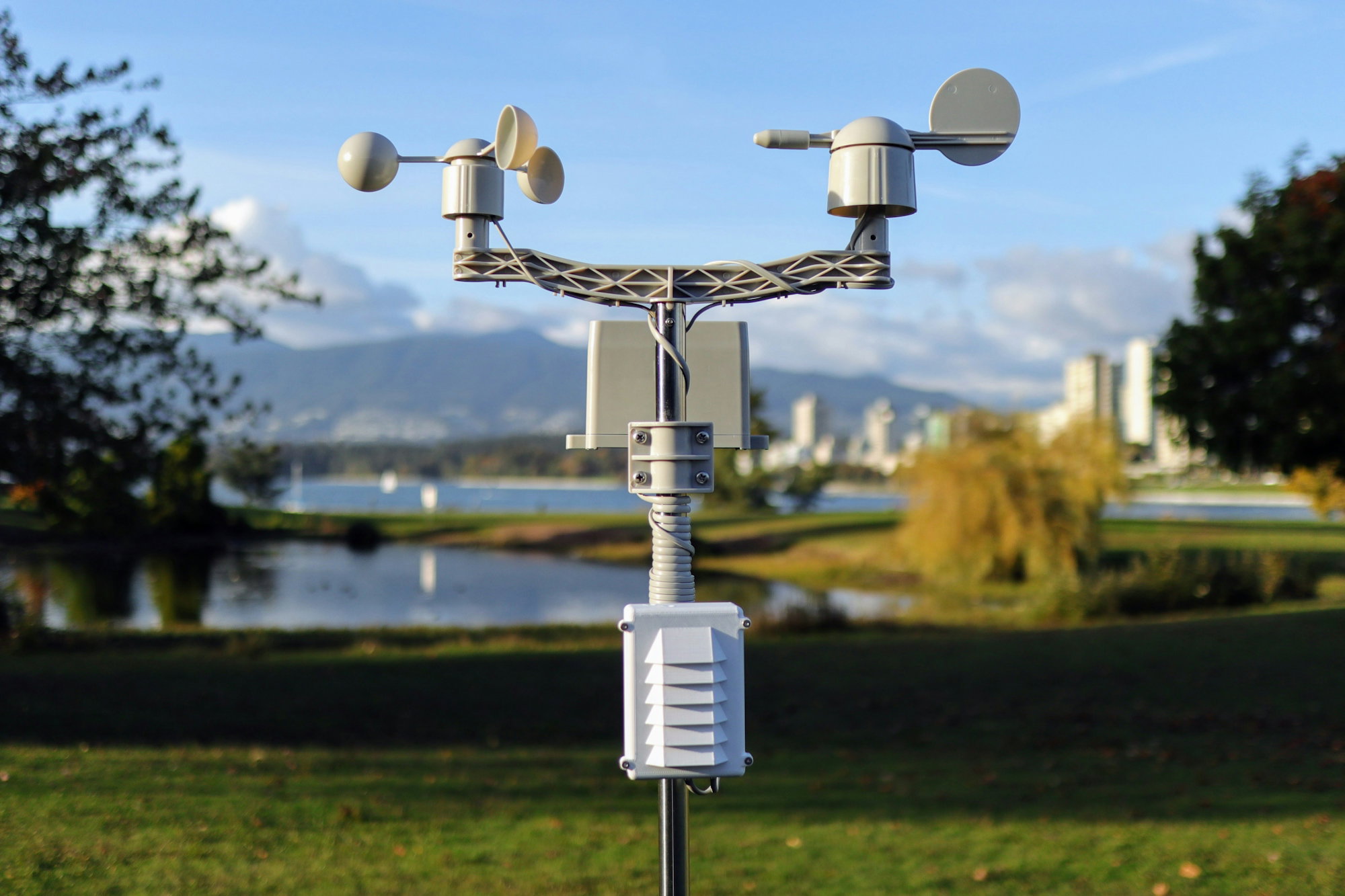 a-cell-phone-tower-in-the-middle-of-a-park.jpg a cell phone tower in the middle of a park